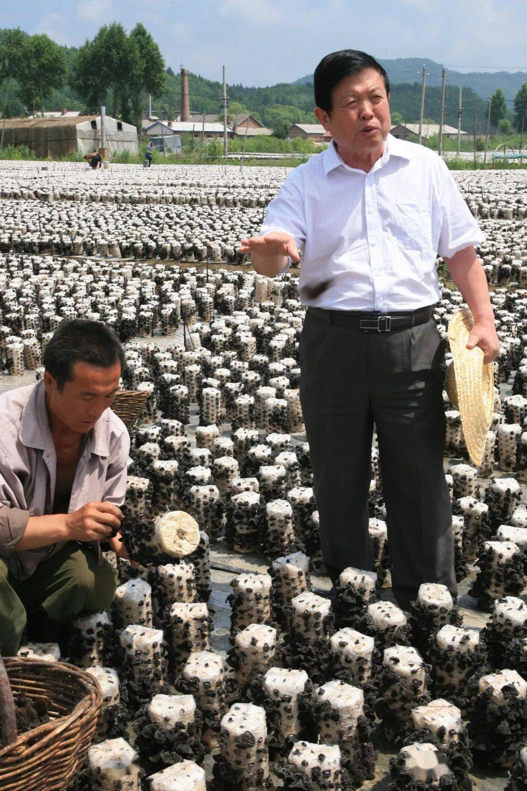 吉林农业大学教授李玉荣获全国脱贫攻坚楷模荣誉称号_扶贫