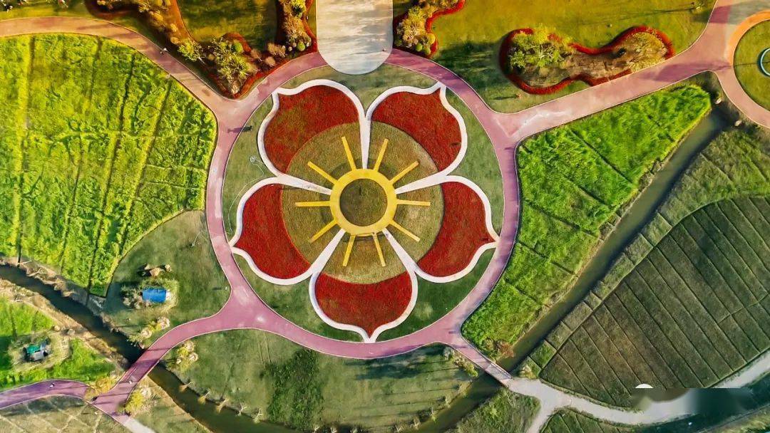 美到无法呼吸不用去婺源南康家居小镇油菜花海等你约