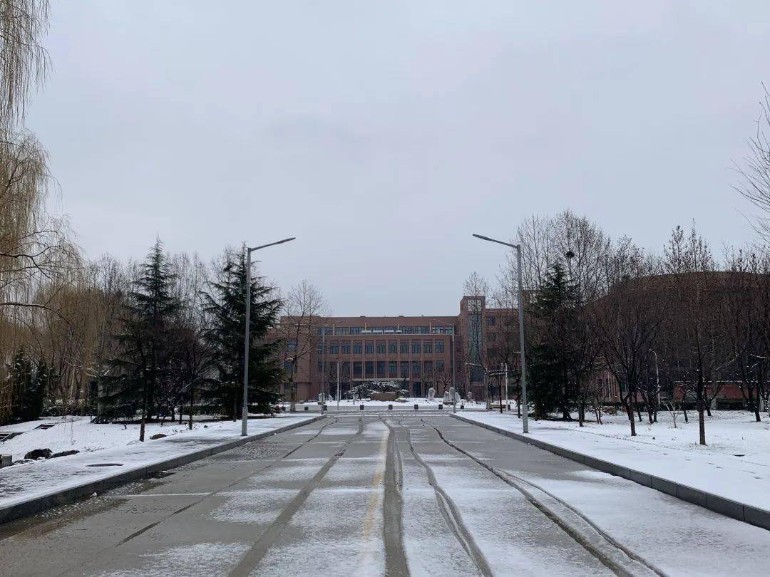 沈阳城市学院冬季图片