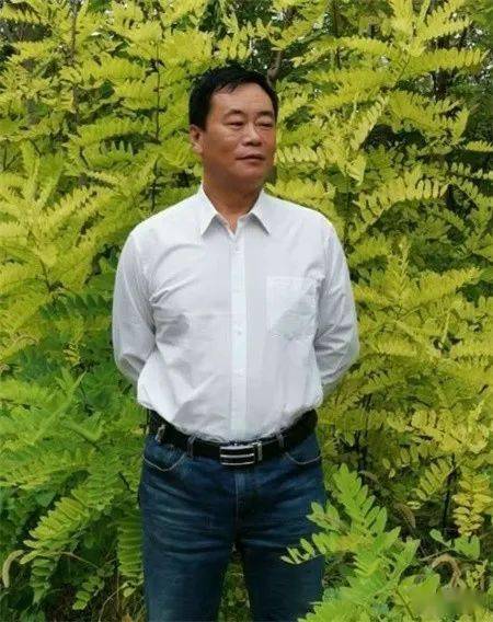 静海区有多少人口_静海区(2)