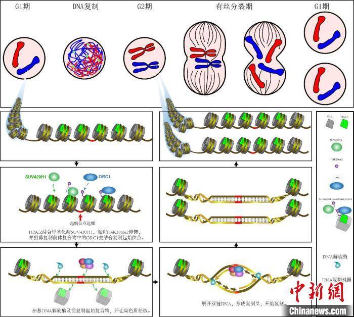 研究|嫦娥五号、“奋斗者”号等入选2020年度中国科学十大进展