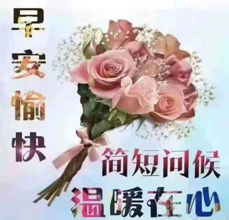 特別漂亮的早上好鮮花圖片帶字早上好暖心問候語