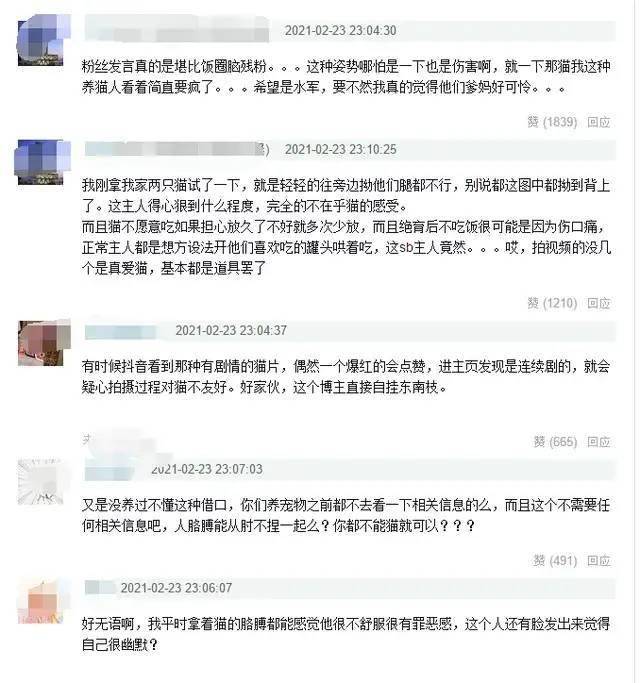 头部网红公然虐猫将猫反折双臂按下吃饭网友直呼残忍怕猫骨折