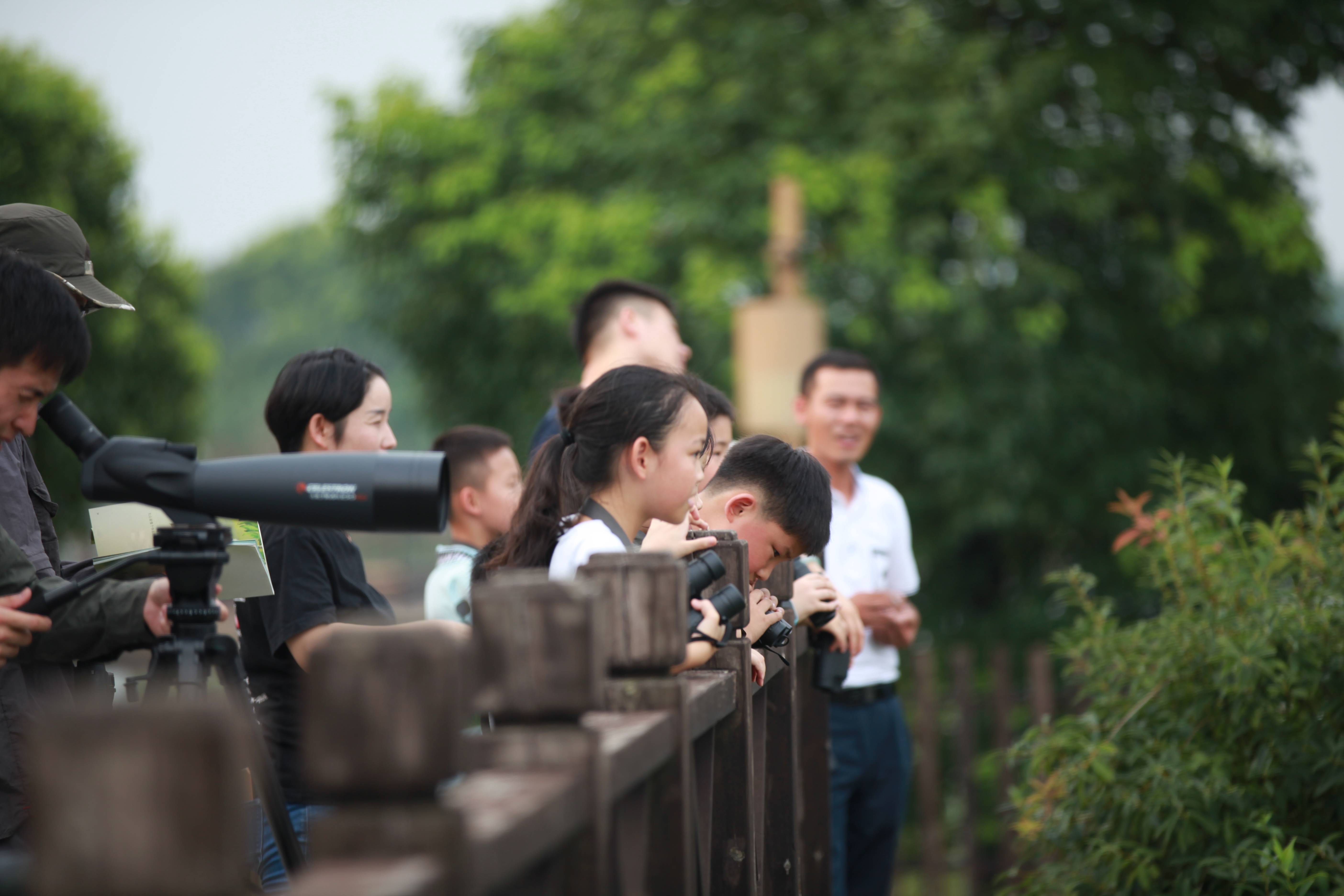 普通人的自然|观鸟人:你吃"长嘴鸟",就是在吃我