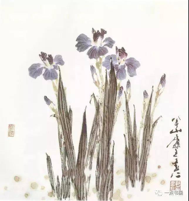 工筆與寫意畫鳶尾花原來這麼美