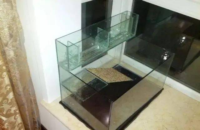 简易龟缸自己做这个龟缸适合每个养龟家庭