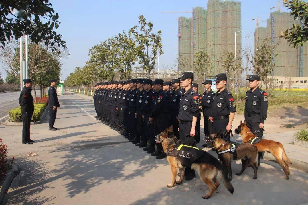 巡特警辅警服装图片图片