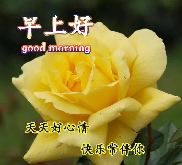 2月28日清晨很漂亮的早上好动画表情图片带字美美的早上好短信问候