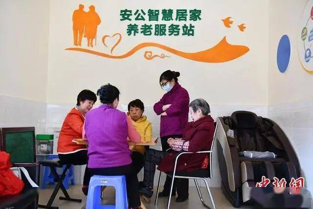 社区老龄人口化_人口老龄数据分析图
