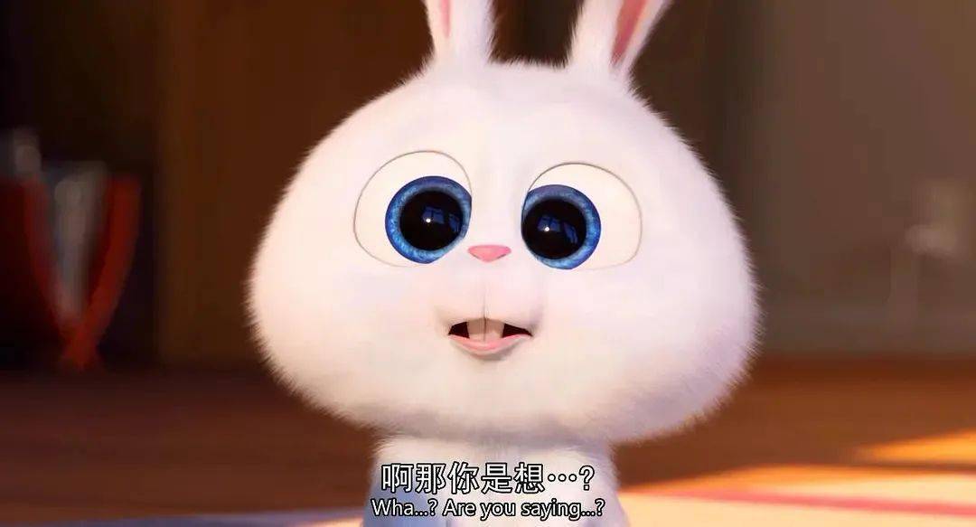 仅50%孩子能上高中,那在小学班里排第几才能读大学?答案来了