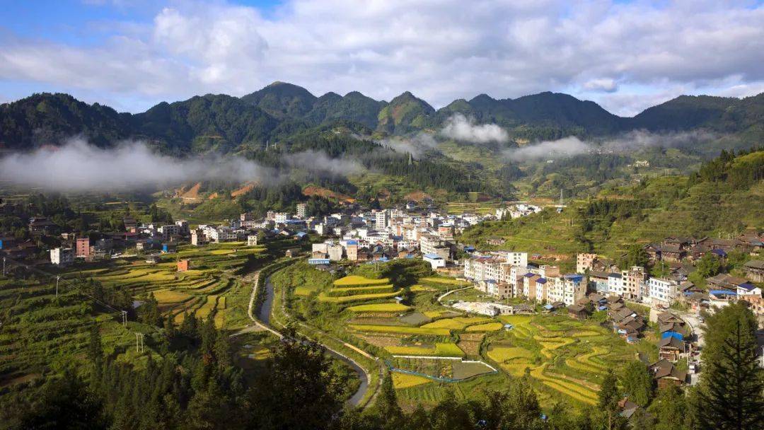 賞油菜花啦開陽十里畫廊萬峰林龍宮貴州這些油菜花海你去過嗎