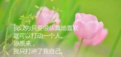保重简谱_保重身体图片(2)