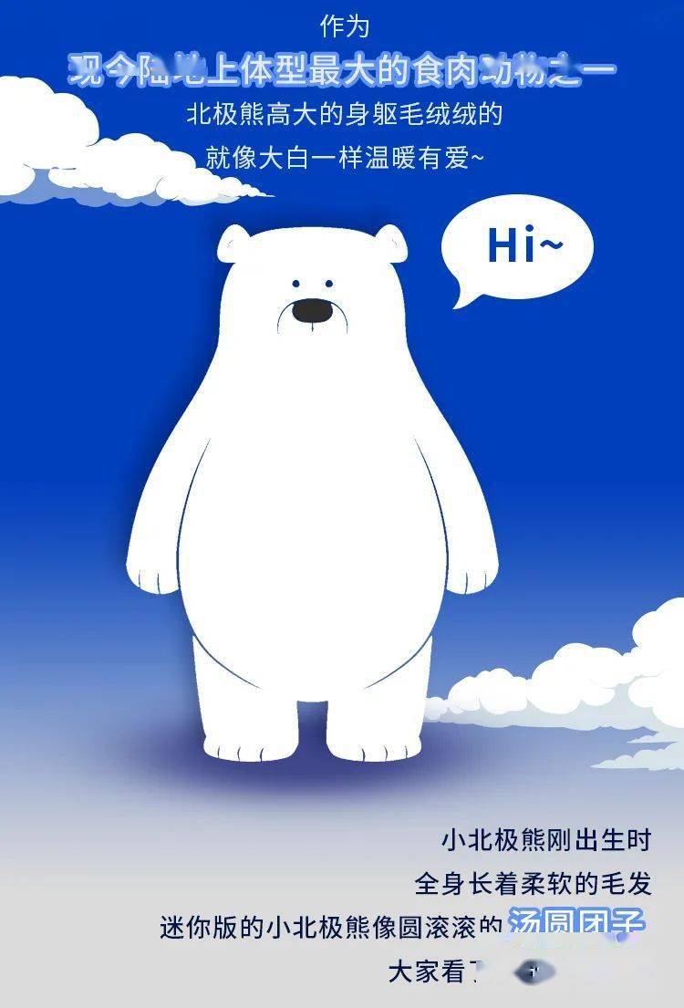 国际北极熊日internationalpolarbearday