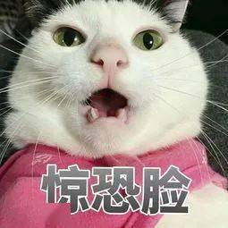 快讯厦门普高率有望提升至63以上16所普高建设中