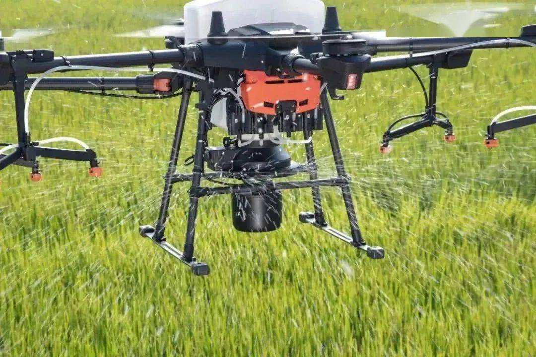 技术|种水稻无需弯腰插秧，用无人机飞播就行了？专家：对，还能增产