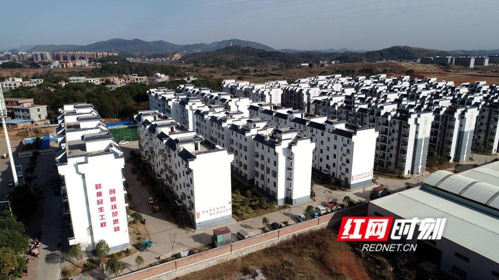 南有新田 圆梦小康丨易地扶贫搬迁能致富 开启美好新生活