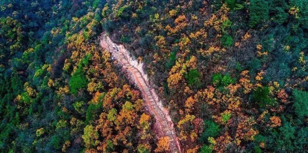 徒步登山36週六登浦江美女峰打卡網紅新光村