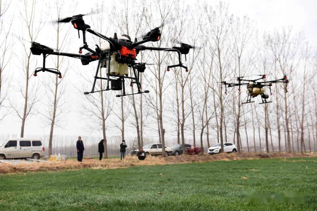 花园镇飞机施肥保丰收航拍组图