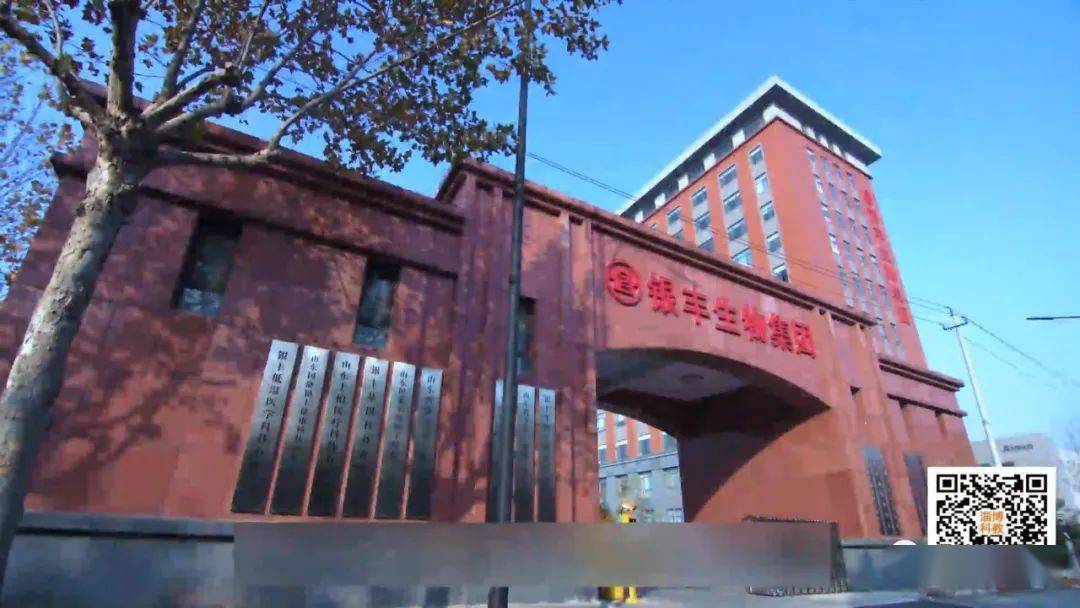 耳聋基因检测突变gdp_耳聋基因检测结果(3)