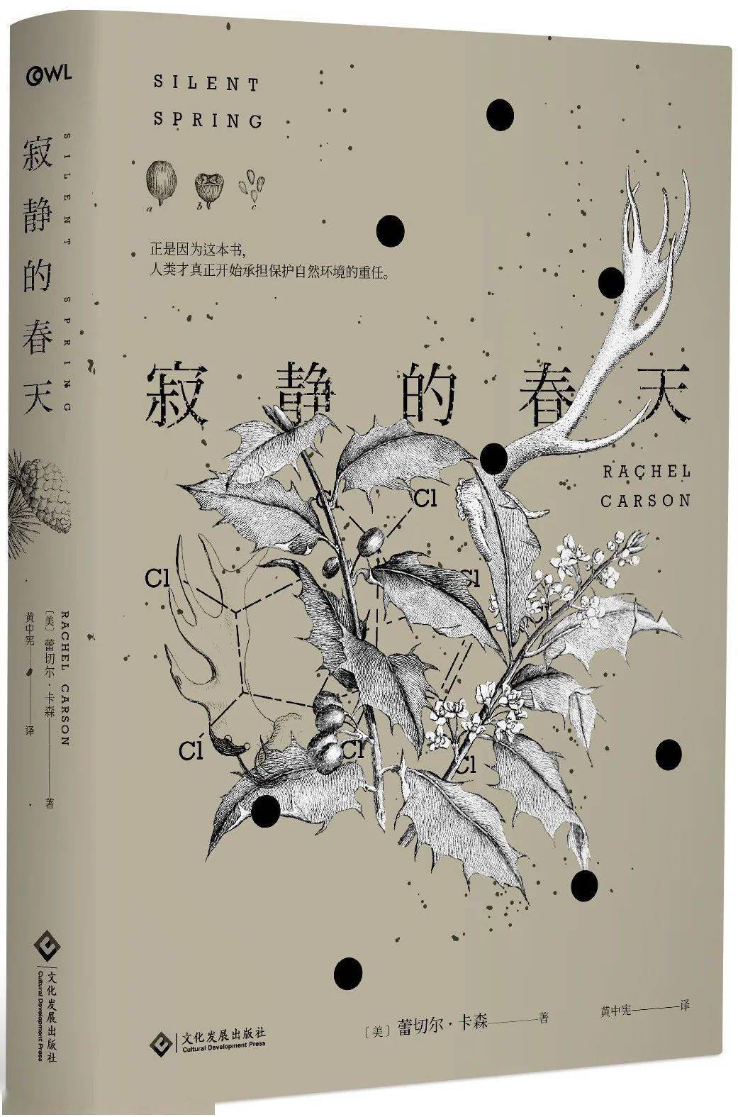 百鸟衣的主要内容 百鸟衣的童话故事