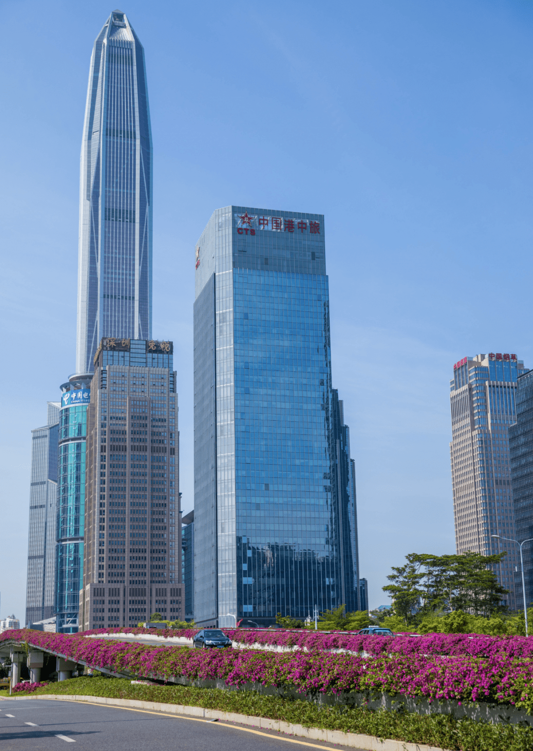 深圳出春日限定皮肤啦说说看你最中意什么颜色