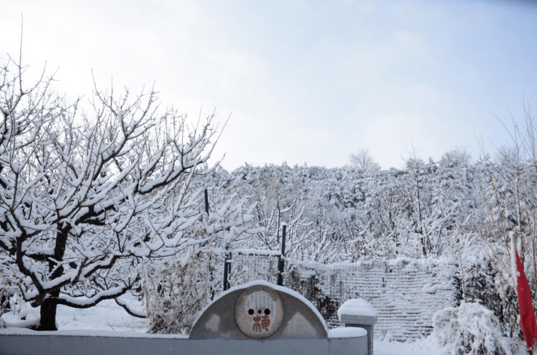 下雪後榆次小五臺竟然變成了這樣驚豔