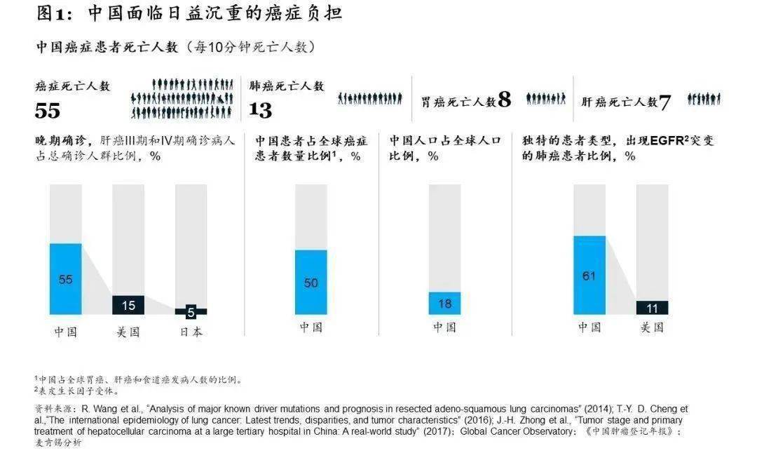 2020年中国人口死亡数量_2020年中国人口结构图(2)