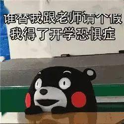 3c70d1f58f204044a83cb33bf209b03f.jpeg