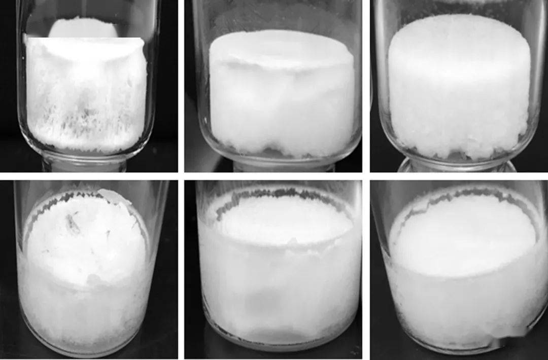 冻干制剂研发和放大过程中的质量源于设计