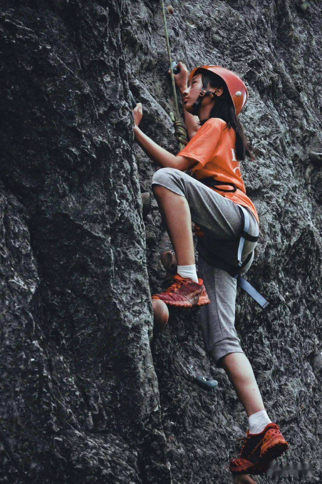 桐庐少年探险家 i 上天入地&飞檐走壁户外拓展营