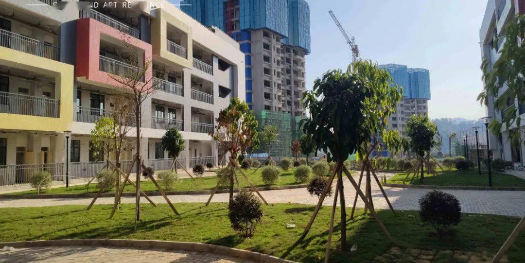 梧州工厂路小学首个分校区今天正式开学这也太美了吧