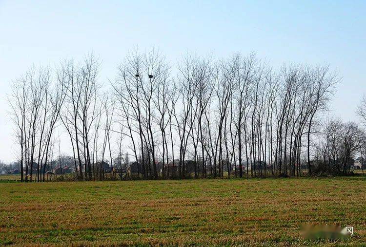 树上有个好地方免费看高清版 d8a0be8bf2174fadbe22aaaaba9732f3.jpeg