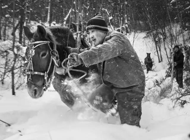 林区往事倒套子