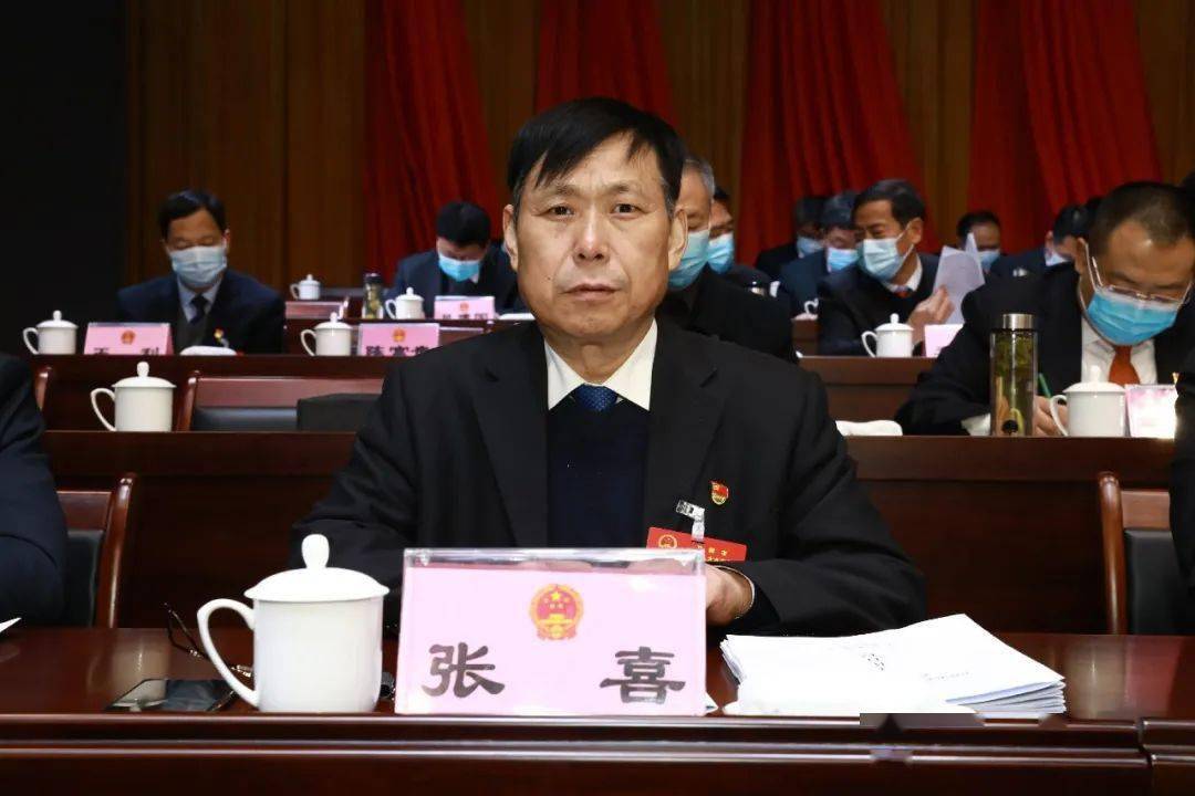 描绘卫辉发展新蓝图!_李进