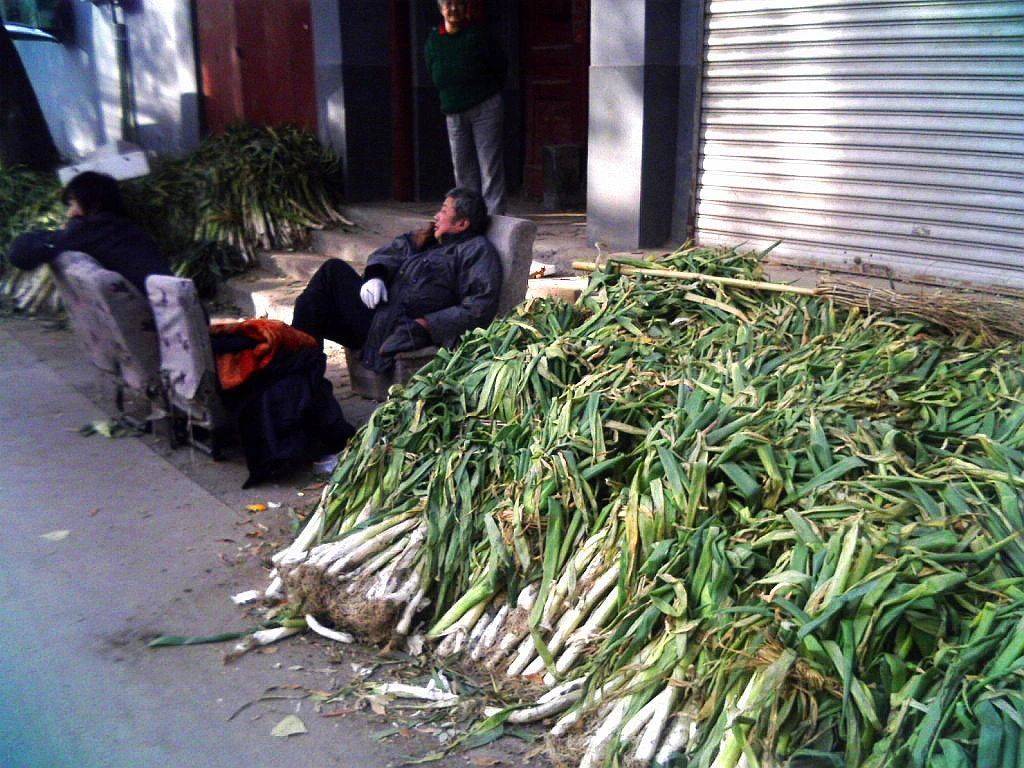 原创囤的葱烂了,愁死个人啊!原谅我一次,我怎么有种幸灾乐祸的感觉