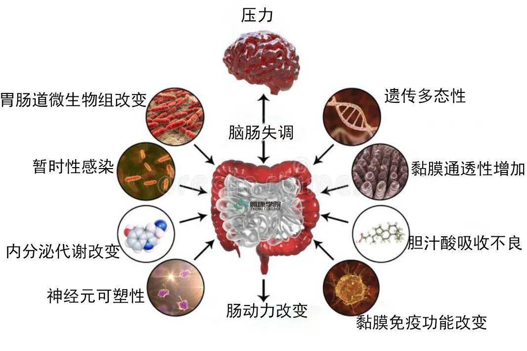 便秘可能是這些原因導致的