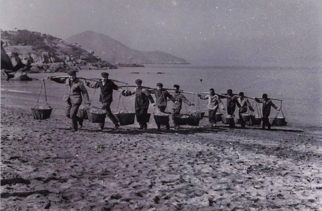 绝版照片大公开1978年的黄龙渔民是这样捕捞晒制虾米的你绝对没见过