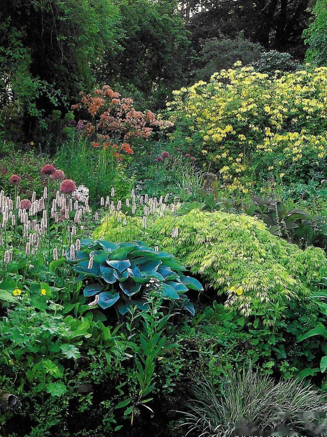 什么是特殊条件下的花境该怎么营造