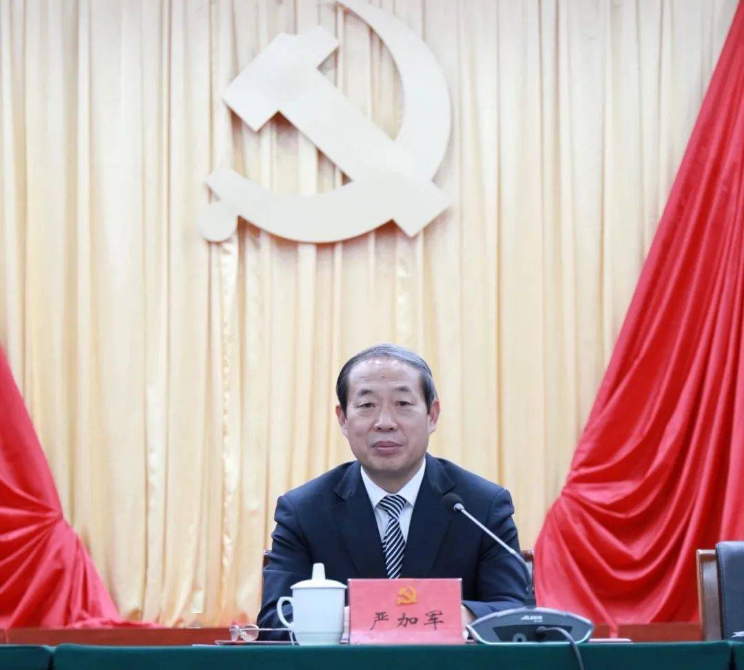 全市纪检监察系统总结表彰大会隆重举行_严加军