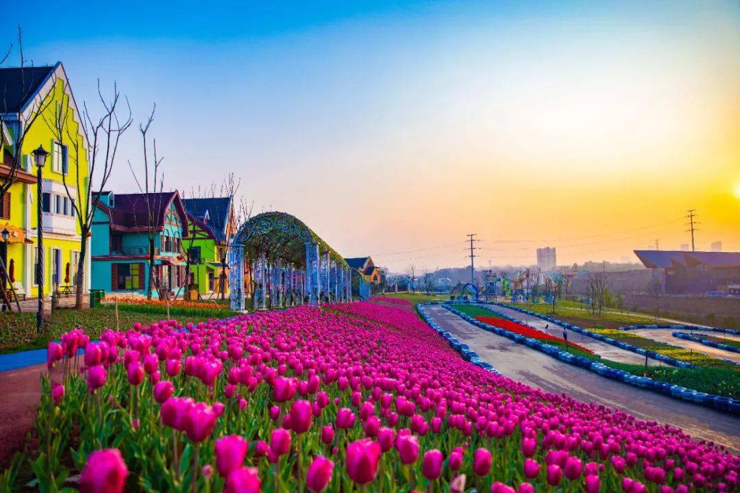 萍乡凯光首届郁金香文化节来袭!各种精彩活动玩不停!