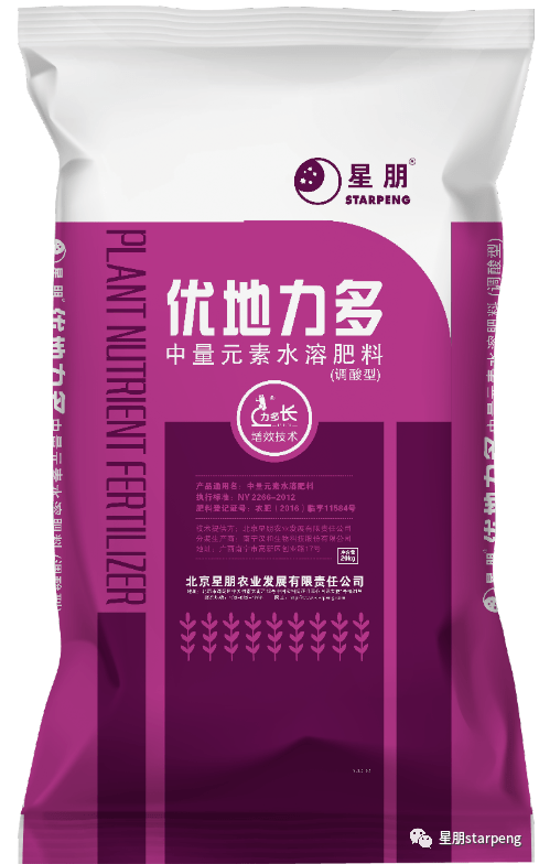 81a4808cf05f45c6aa0e2b400bd7f7f4.png
