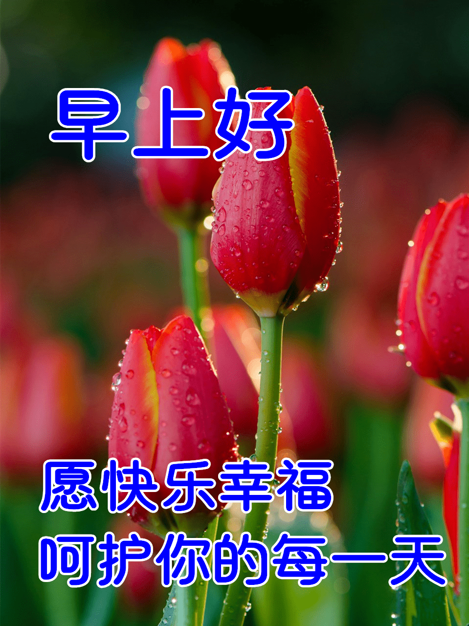 3月4日最漂亮早上好动态表情图片大全早晨好动图美图大全