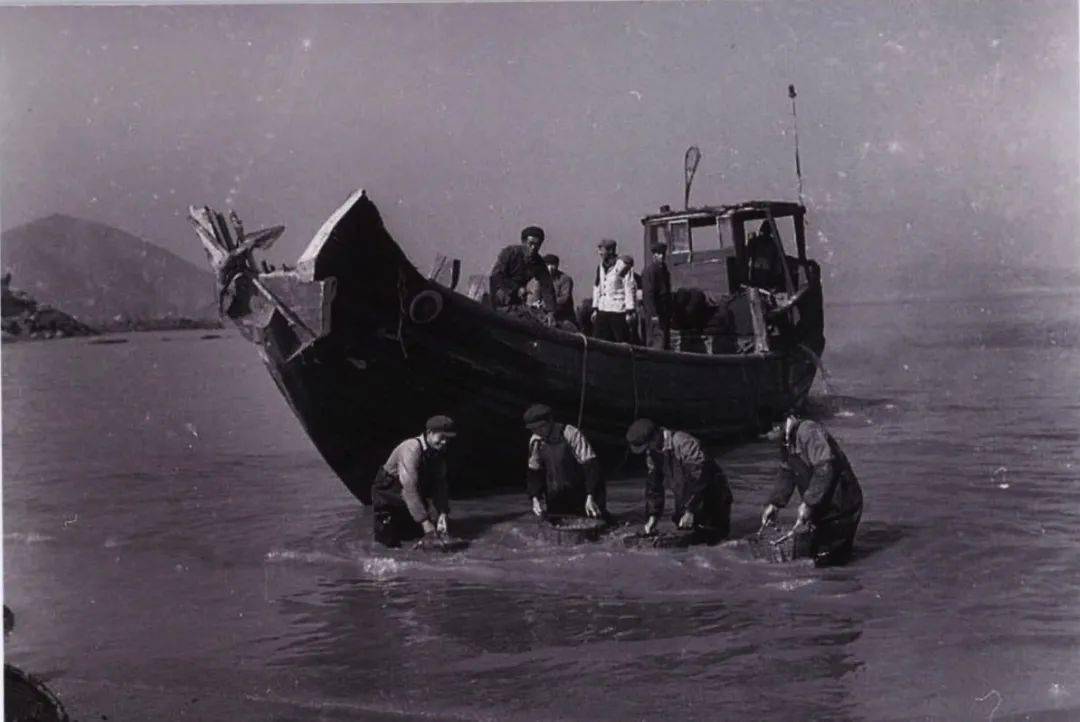 以前渔民出海,都是用传统木质帆船,小小的船身,在东海上蜿蜒出一圈圈