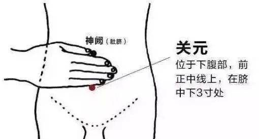 如何调理内分泌代谢紊乱 b674ddd0b55a4544a3a625a06a749e1e.jpeg