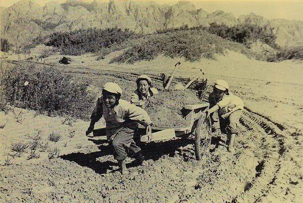 30张知青老照片:时光被谁偷走了?_劳动