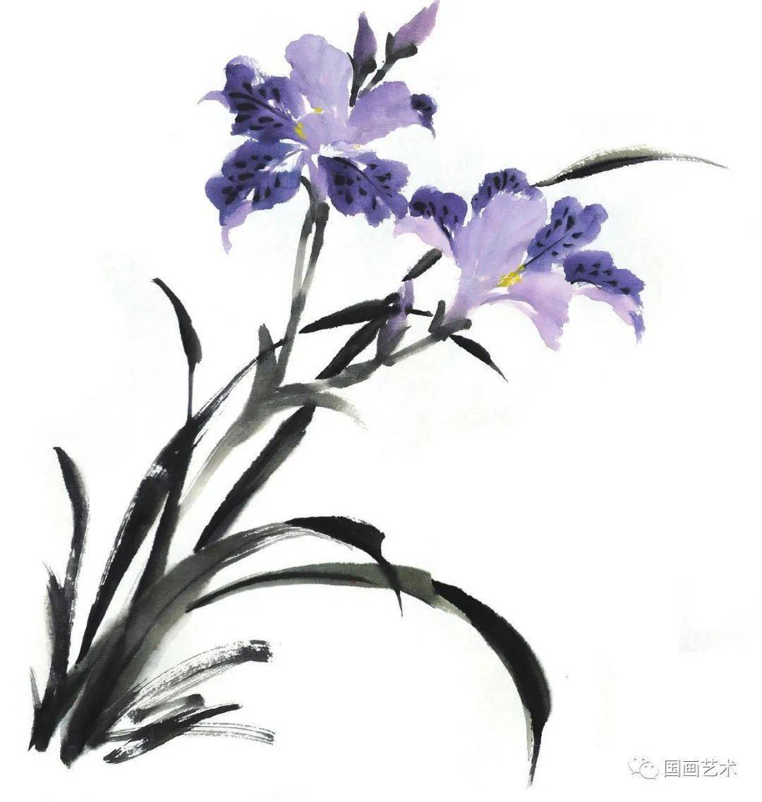 写意玉簪花鸢尾花等画法示范
