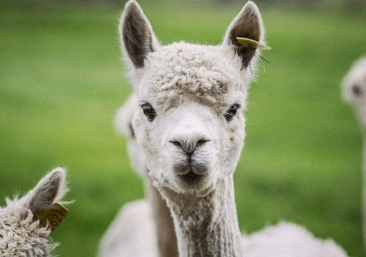 趣味民俗看图猜地名据说只有1的人能通关