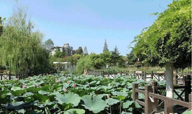 靜安各公園一整年最美的風景都在這裡了