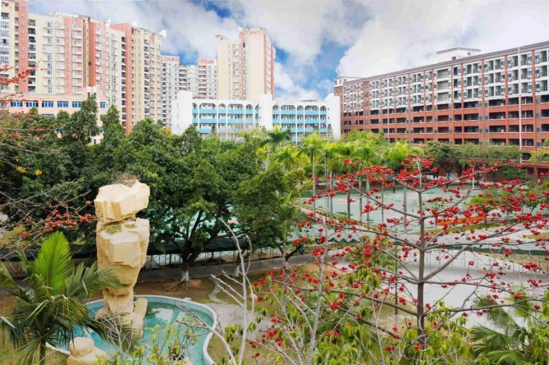 遇见61竹中三月的竹中红了