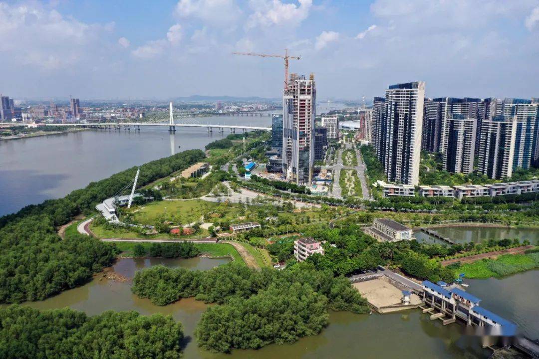 广州南沙旧村改造计划曝光!36条村安排上了!